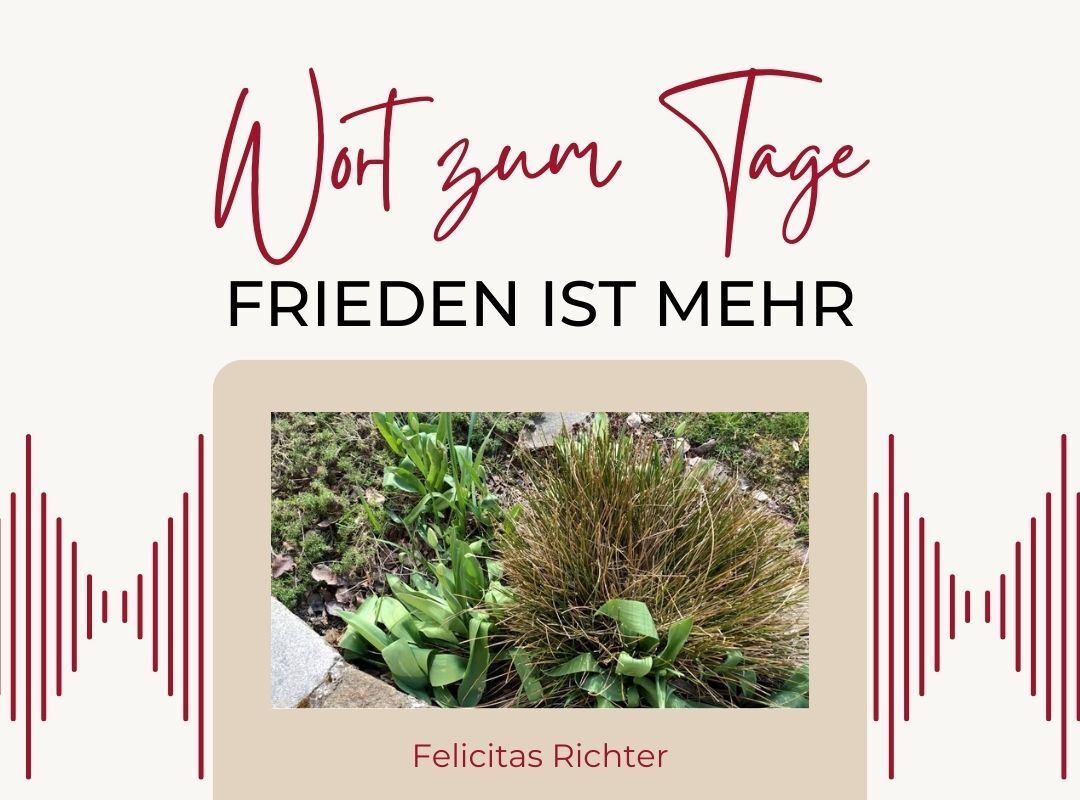 felicitas-richter-frieden